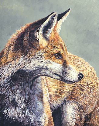326x413 Red Fox Print - Fox Head Painting