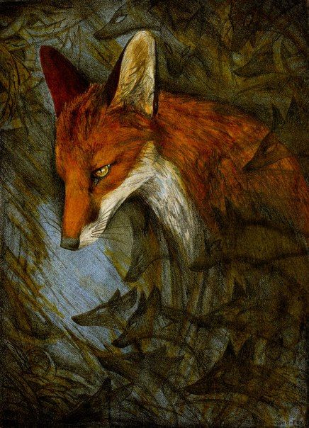 436x604 116 Sketch Foxes - Fox Head Painting
