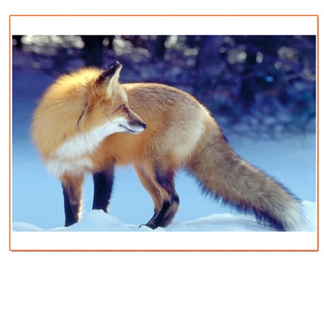 640x640 Full Square Drill 2015 Fashion 3d Diy Diamond Painting Fox - Fox In The Snow Painting