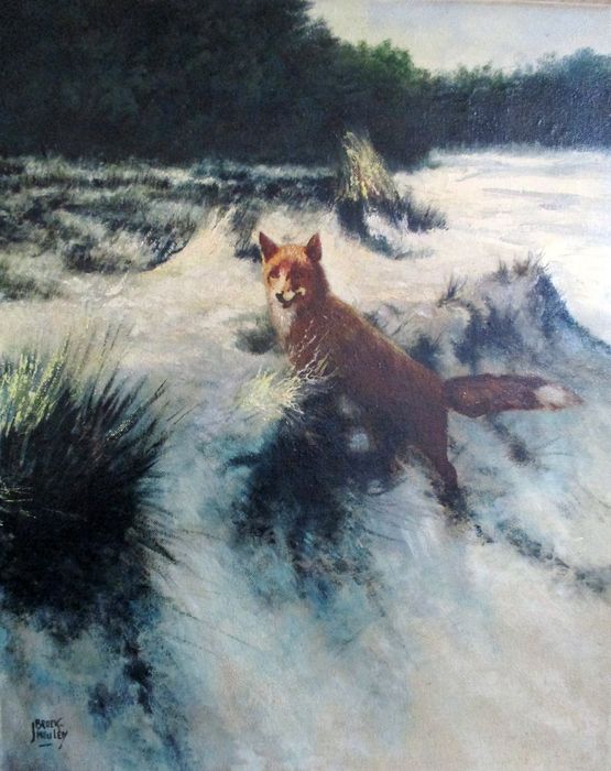 555x700 J Broekmolen (20th Century) - Fox In The Snow Painting