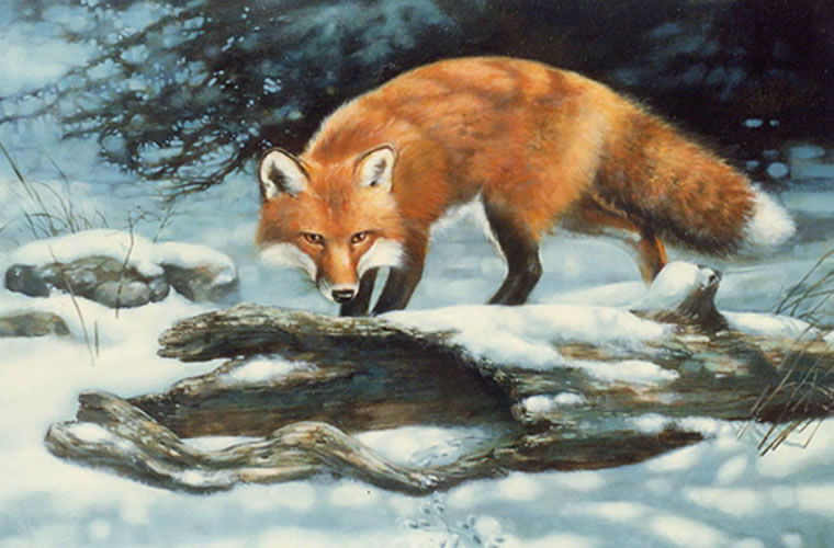 760x500 Oil Painting On Masonite Of Red Fox In Snow - Fox In The Snow Painting