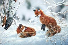 236x156 Pin By Daniel William On Oil Paintings Animal Animal - Fox In The Snow Painting