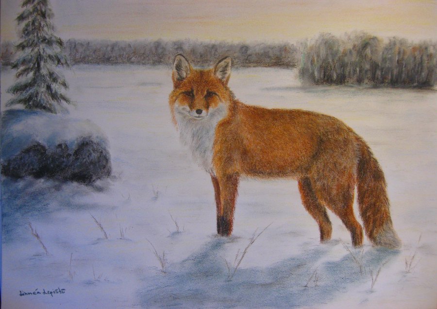 900x636 Red Fox And White Snow By Lepisto87 - Fox In The Snow Painting