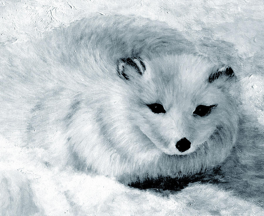900x737 Silver Snow Fox Painting By Joy Reese - Fox In The Snow Painting