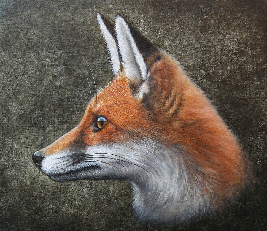 900x778 Red Fox Oil Painting By Painterman33 - Fox Oil Painting