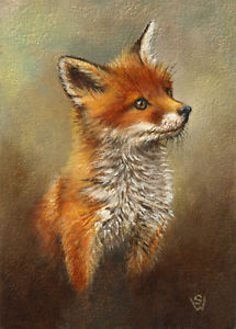 215x300 Sue Warner Original Aceo Oil Painting, Miniature, - Fox Oil Painting