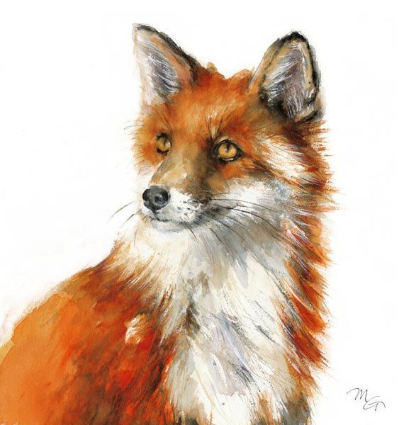 570x600 Fox Painting - Fox Painting