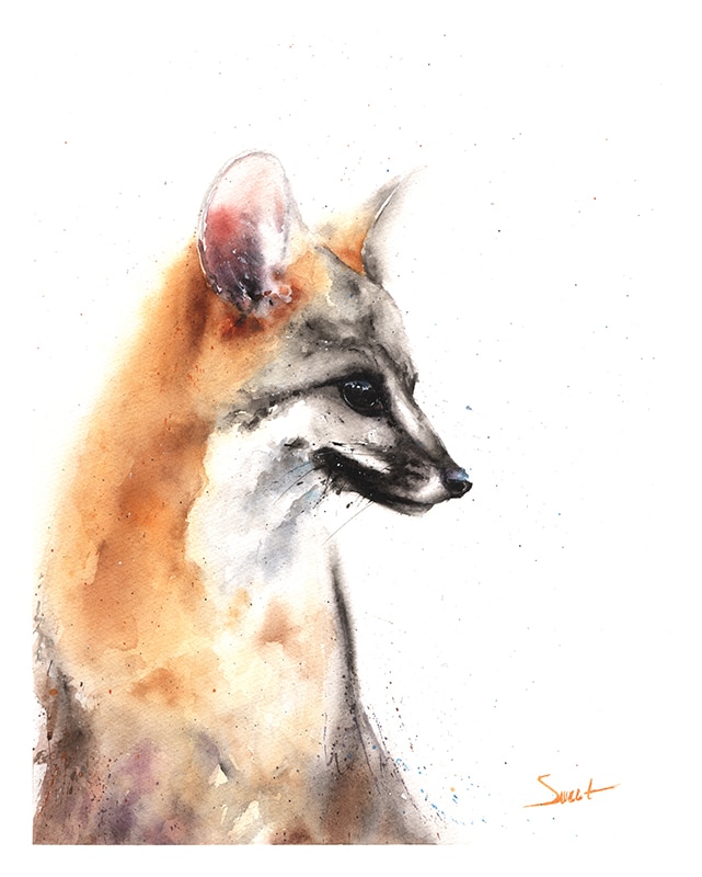641x800 Fox Watercolor Print Watercolor Animal Paintings - Fox Painting Watercolor