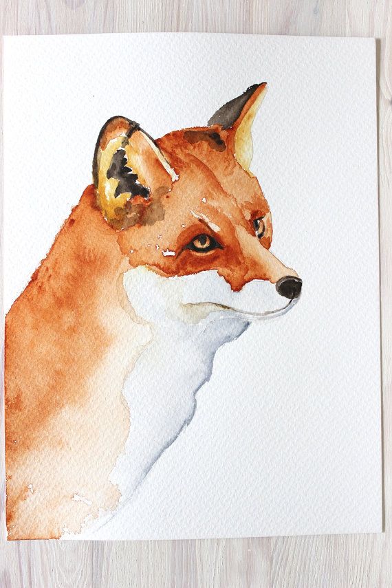 570x855 Fox Original Watercolor Painting Fox Painting Woodland Painting - Fox Painting Watercolor