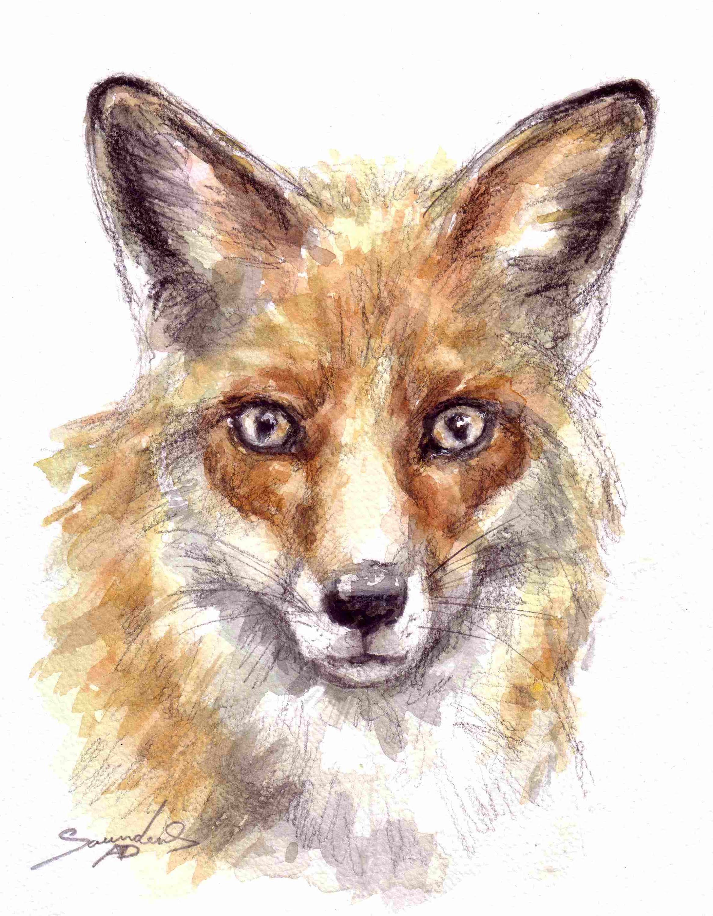 2335x3000 Fox Time Lapse Watercolor Painting - Fox Painting Watercolor