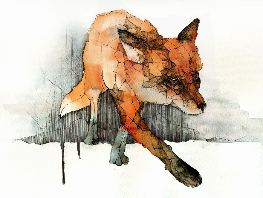 880x663 I Paint Foxes With Ink And Watercolor For Everyone Who Loves Them - Fox Watercolor Painting