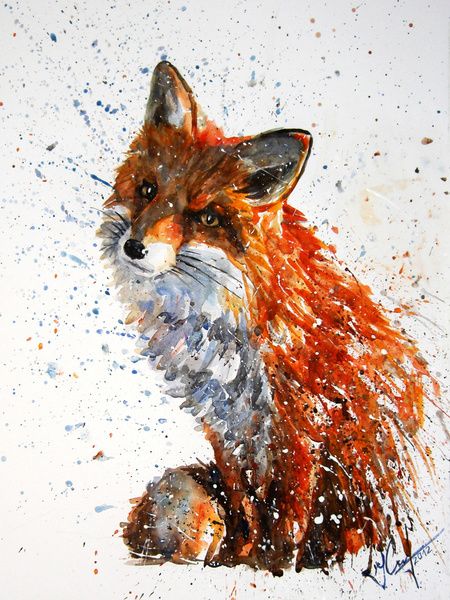 450x600 Love The Powerful Use Of Colour And Texture In This - Fox Watercolor Painting