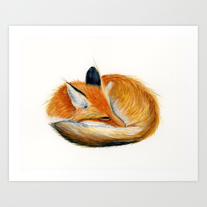 700x700 Sleeping Fox Watercolor Painting Art Print By Drawinginspiration - Fox Watercolor Painting