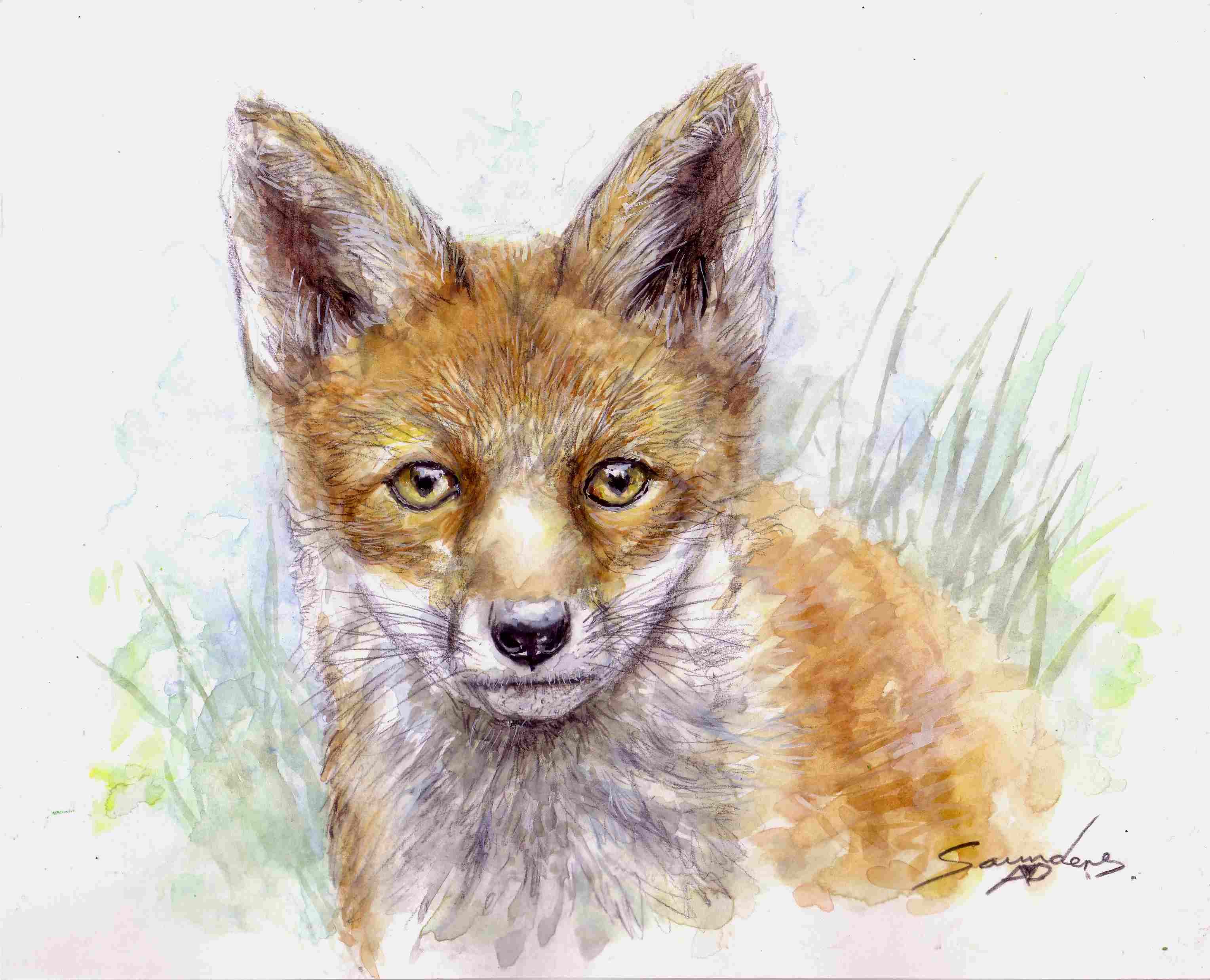 3056x2476 Speed Watercolour Painting Fox Cub - Fox Watercolor Painting
