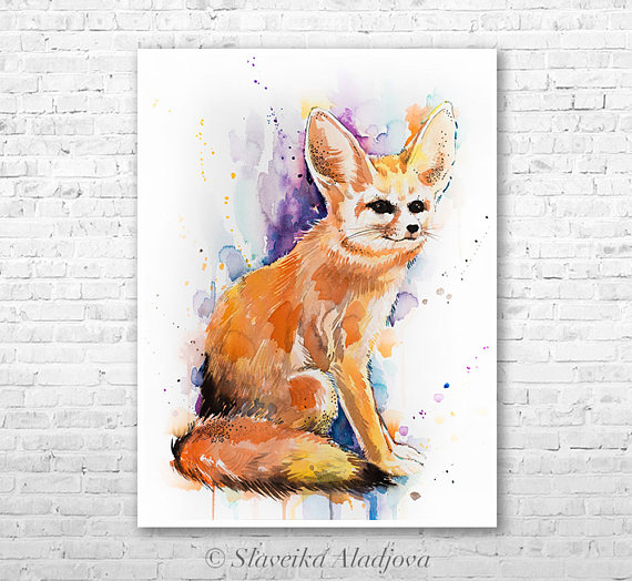 570x524 Fennec Fox Watercolor Painting Print By Slaveika Aladjova - Fox Watercolor Painting