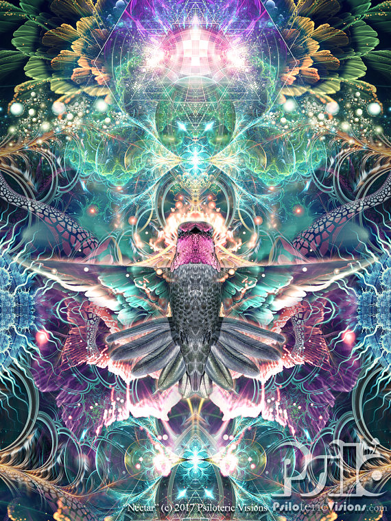 570x760 Hummingbird Art Hummingbird Painting Psychedelic Painting - Fractal Painting