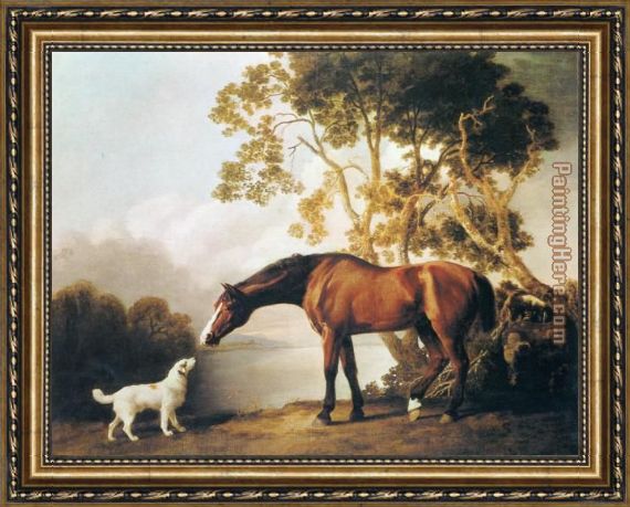 570x459 George Stubbs Bay Horse And White Dog Framed Painting For Sale - Framed Horse Painting