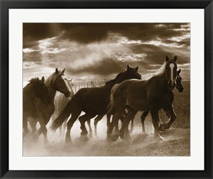 300x252 Horse Art - Framed Horse Painting
