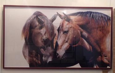 370x234 Mecox Gardens - Framed Horse Painting