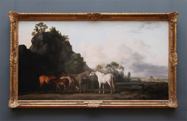 620x402 Anatomy Of A Horse Painting The Getty Iris - Framed Horse Painting