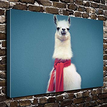 355x355 Colorsforu Lama Clipart Baby Llama Custom Canvas Print - Framed Painting Clipart