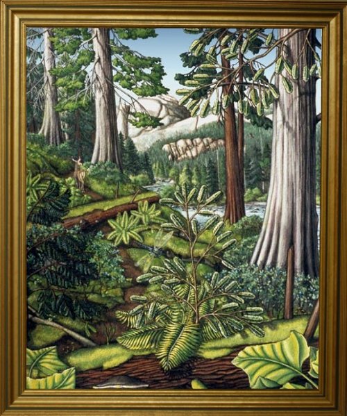 500x599 Canadian Landscape Paintings Amp Prints By Canadian Artist Kim - Framed Painting Prints