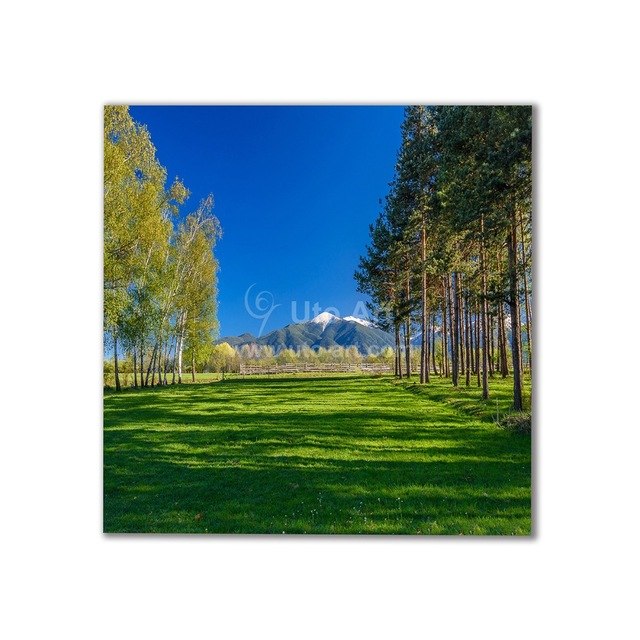 640x640 Guarantee New Cheap Wall Frames Canvas Art Painting Seashore - Frames For Canvas Painting