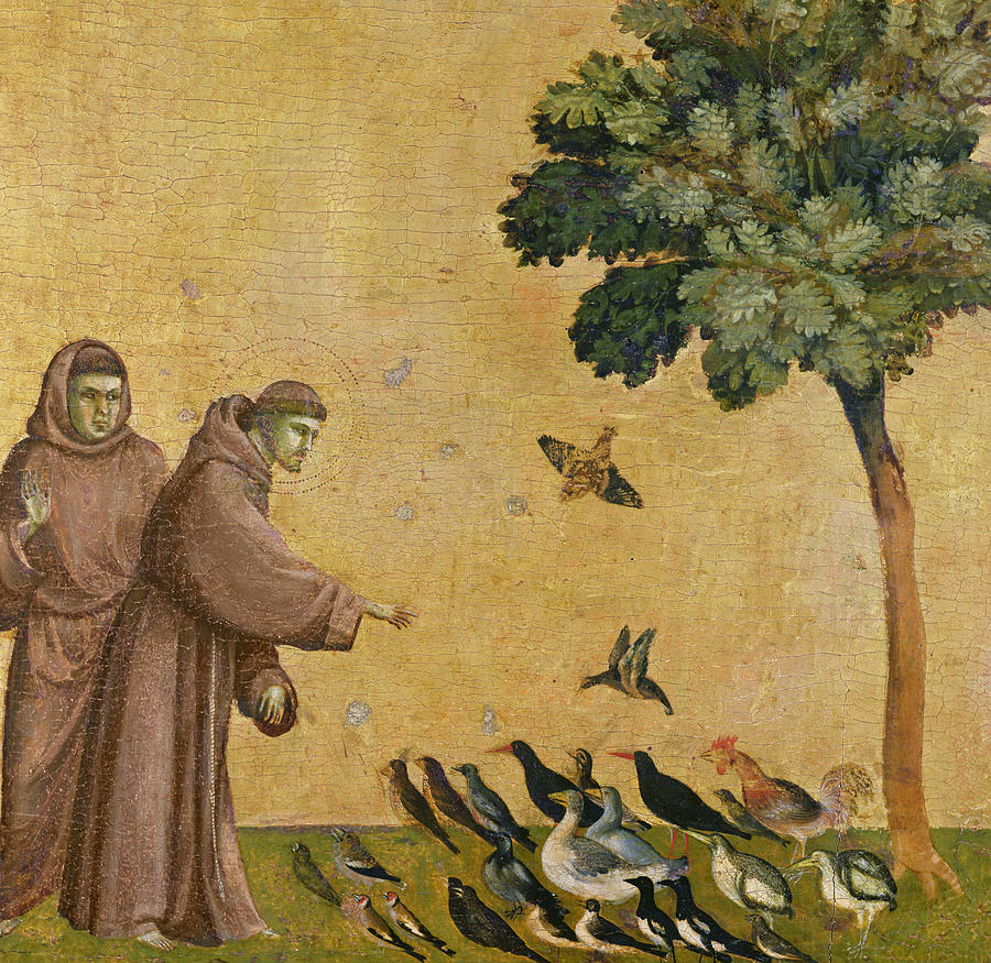 900x875 Saint Francis Of Assisi Preaching To The Birds Painting By Giotto - Francis Of Assisi Painting