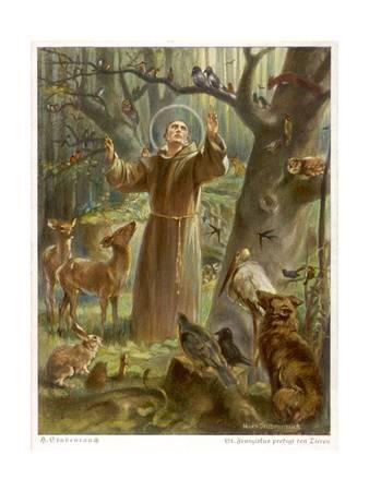338x450 Beautiful St. Francis Of Assisi Artwork For Sale, Posters - Francis Of Assisi Painting