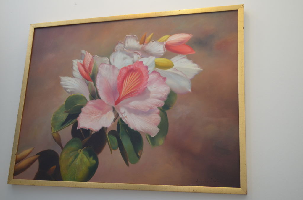 1024x678 Pink Flower Jaime Ruben Franco Al Evan - Franco Canvas Painting
