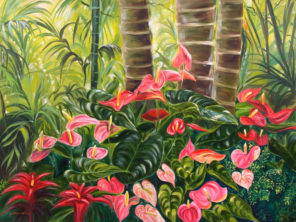 960x720 Tropical Red Amp Pink Anthurium Jungle - Franco Painting Flowers