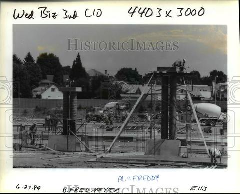 480x387 Products Page 10085 Historic Images - Fred Meyer Einstein Painting