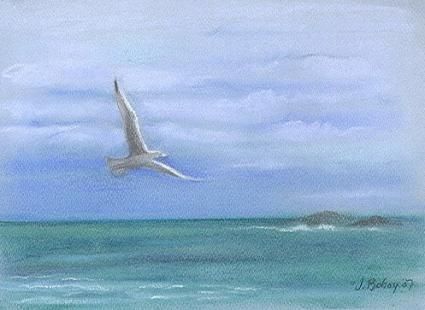 425x310 Friday Free As A Bird By Artist Johanna Bohoy, On Dailypainters - Free Bird Painting