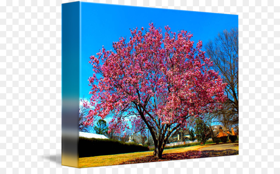 900x560 Painting Acrylic Paint Desktop Wallpaper Computer - Free Computer Painting