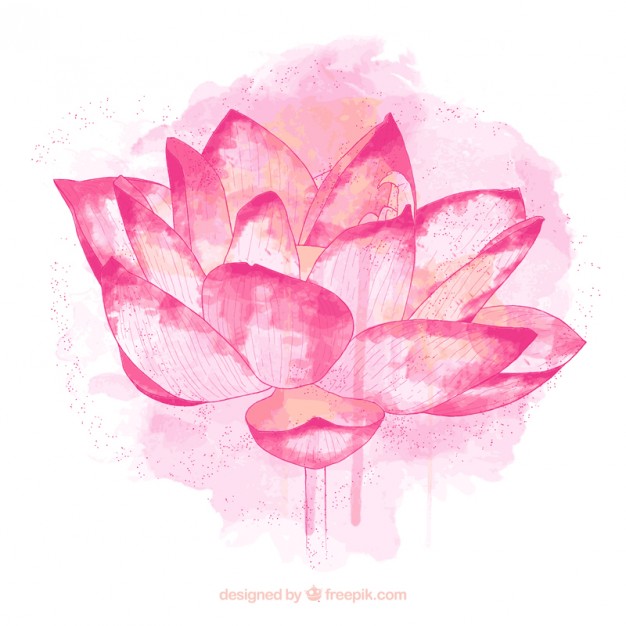 626x626 Hand Painted Lotus Flower Vector Free Download - Free Flower Painting