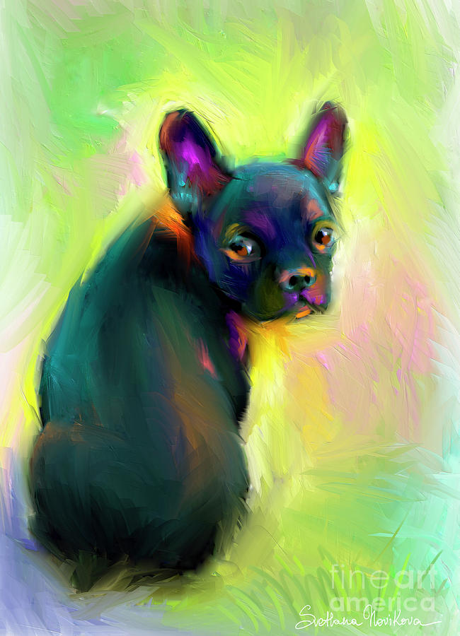 650x900 French Bulldog Painting 4 Painting By Svetlana Novikova - French Bulldog Painting