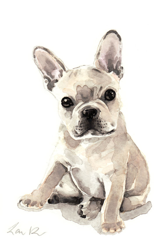 570x821 French Bulldog Puppy Print Watercolor Painting Frenchie Art - French Bulldog Painting