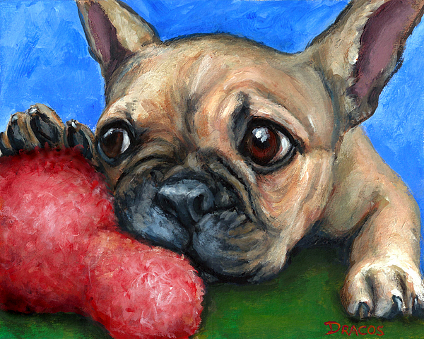600x480 French Bulldog Puppy With Toy Painting By Dottie Dracos - French Bulldog Painting