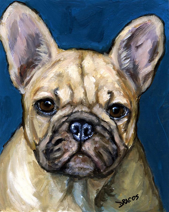 720x900 French Bulldog On Teal Painting By Dottie Dracos - French Bulldog Painting