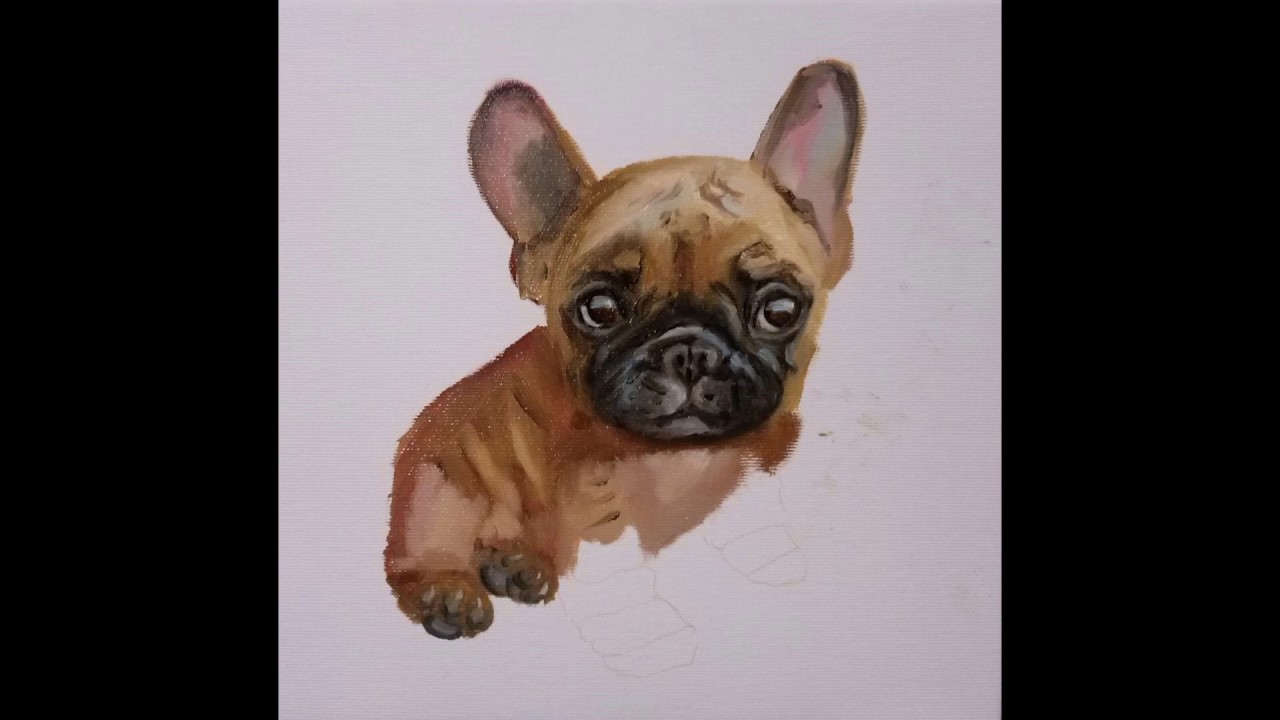 1280x720 French Bulldog. Painting. Phased Video - French Bulldog Painting