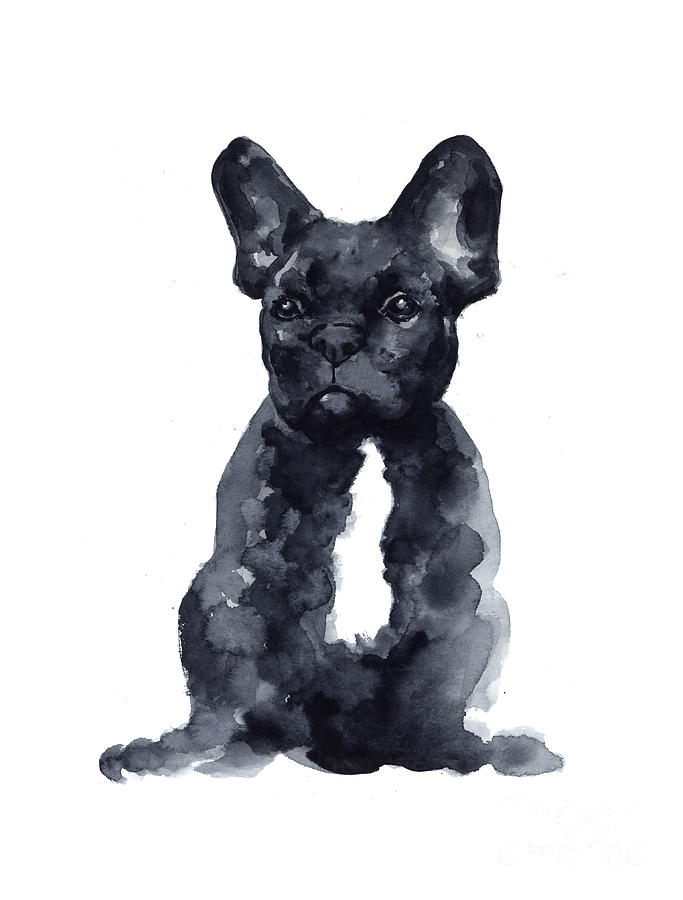 683x900 Black French Bulldog Watercolor Poster Painting By Joanna Szmerdt - French Bulldog Painting