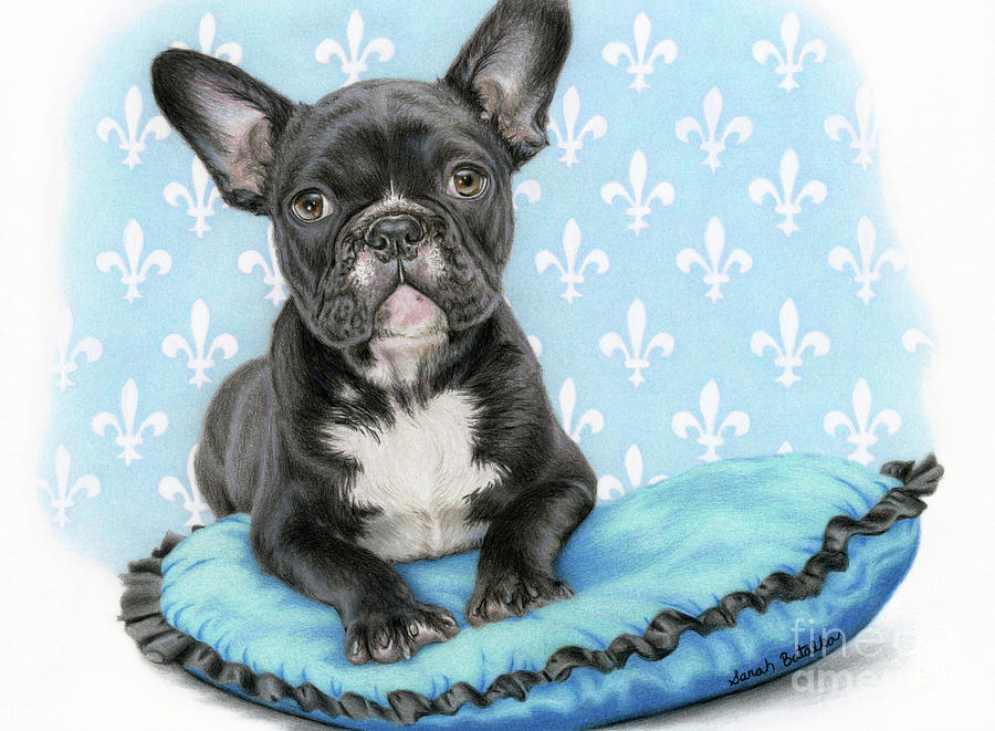 900x661 Draw Me Like One Of Your French Girls Painting By Sarah Batalka - French Bulldog Painting