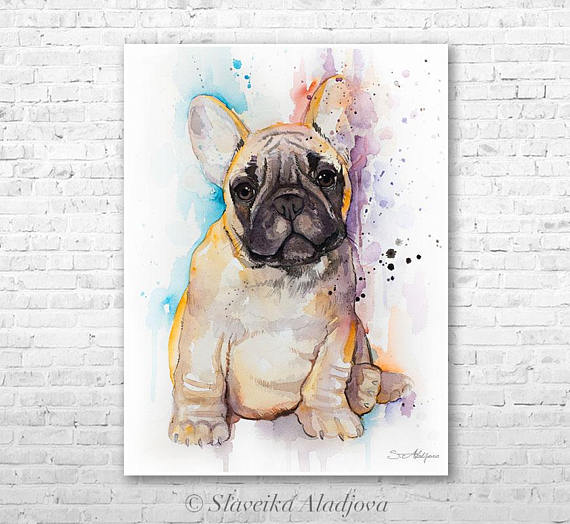 570x524 Fawn French Bulldog Watercolor Painting Print By Slaveika - French Bulldog Painting