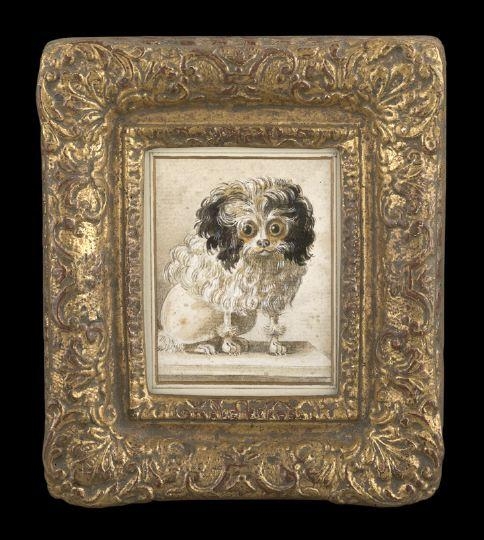 484x540 Huxtable The Poodle Toy Poodle Blog Parti Poodle Art History - French Poodle Painting