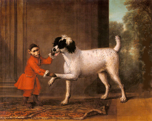 500x398 Huxtable The Poodle Toy Poodle Blog Parti Poodle Poodle Art - French Poodle Painting