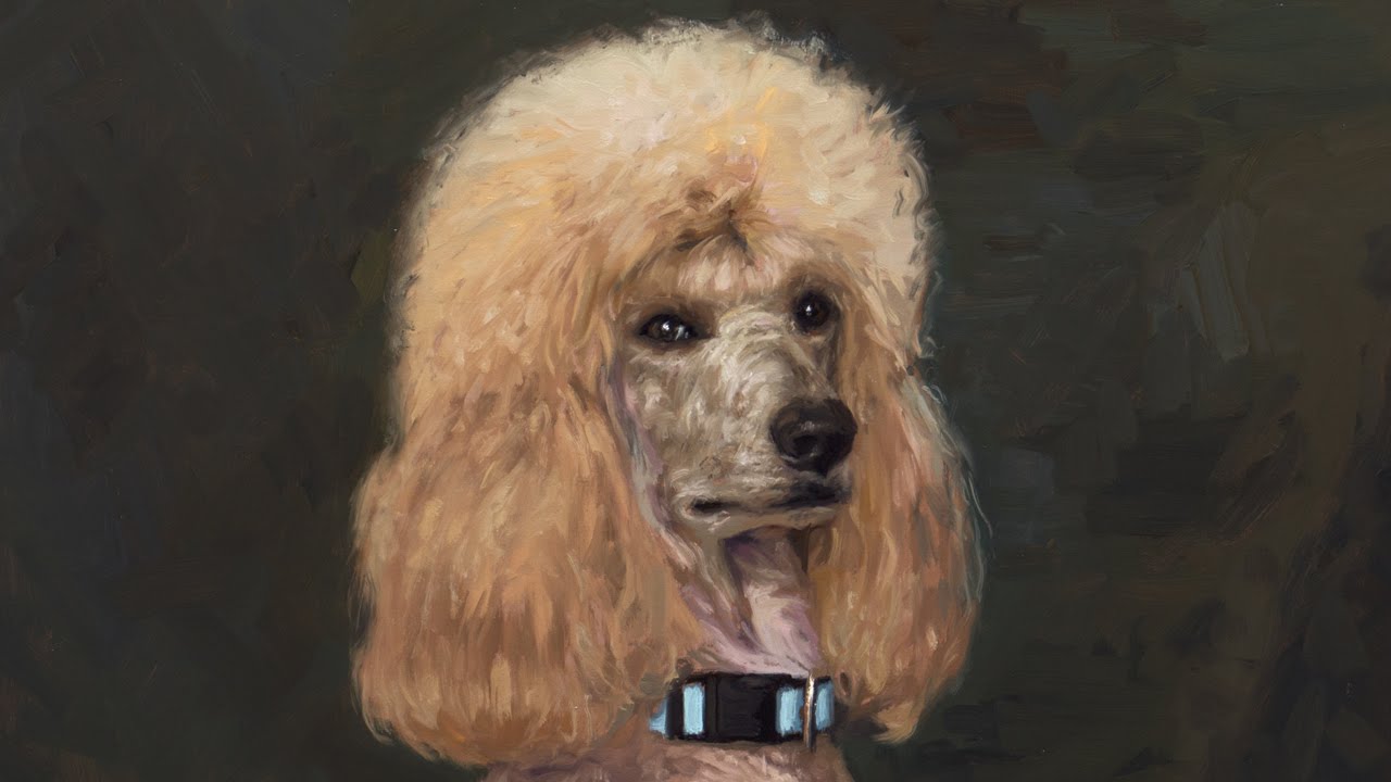 1280x720 Painting Demo Poodle Head - French Poodle Painting
