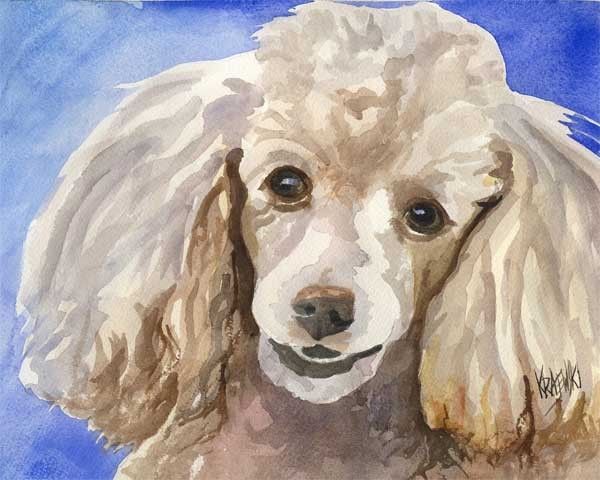 600x480 Poodle Art Print Of Original Watercolor Painting By Dogartstudio - French Poodle Painting