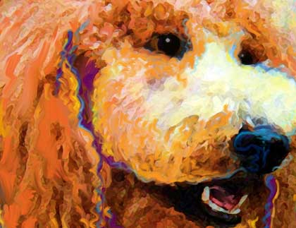 420x323 Standard Poodle Dog Art - French Poodle Painting