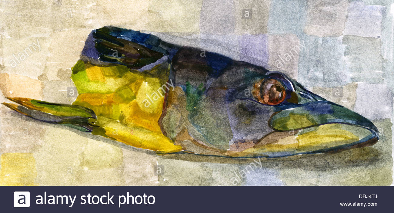 1300x704 Pike (Latin Esox) - Freshwater Fish Painting