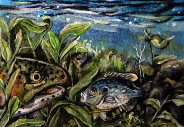 366x254 Rainbow Trout And Other Freshwater Fish - Freshwater Fish Painting